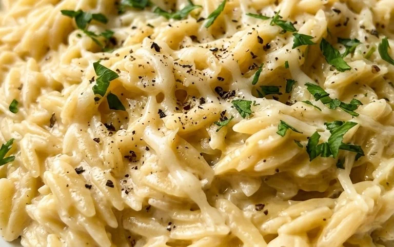 Creamy Garlic Parmesan Orzo